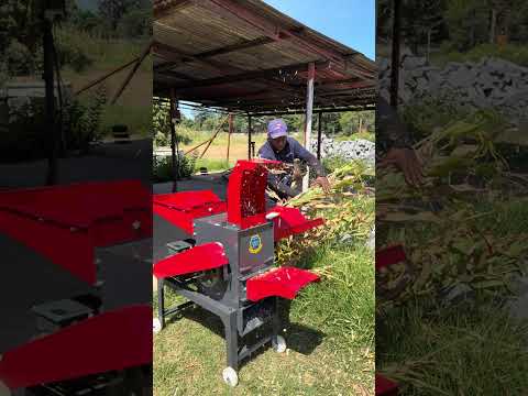 Multifunctional Hay Processing Machine – Wet & Dry 5 Blade