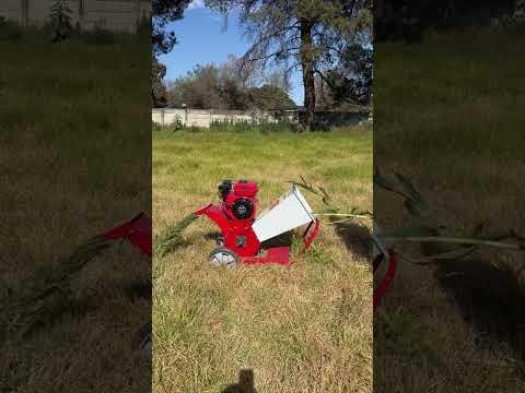 Chaff Cutter with Diesel Engine 170F 4.2HP