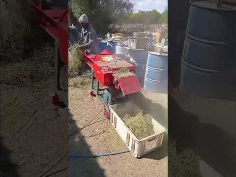 Chaff Cutter  4KW 4.2T