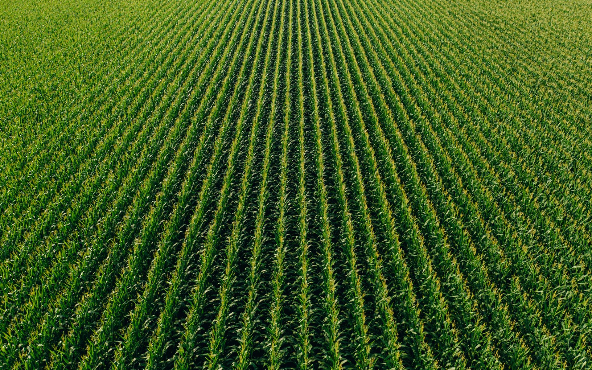Buying Farming Equipment Online in South Africa: What to Check Before You Pay